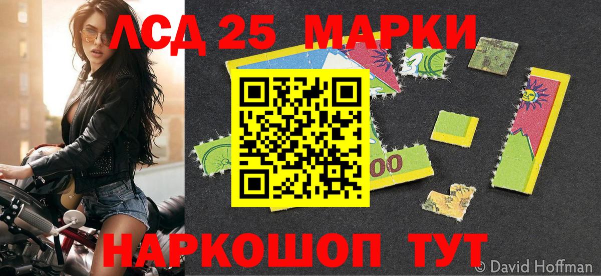 где найти наркотики  Вход с VPN  Елизово  Марки NBOMe 1,8мг  Марки NBOMe 1,8мг 
